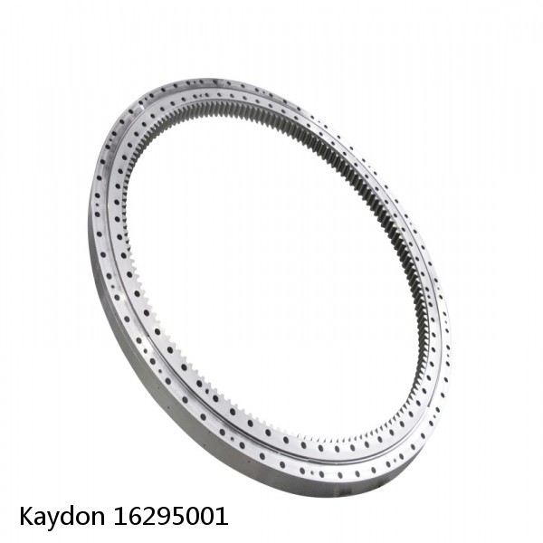 16295001 Kaydon Slewing Ring Bearings