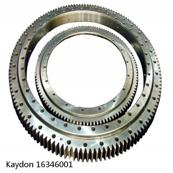 16346001 Kaydon Slewing Ring Bearings