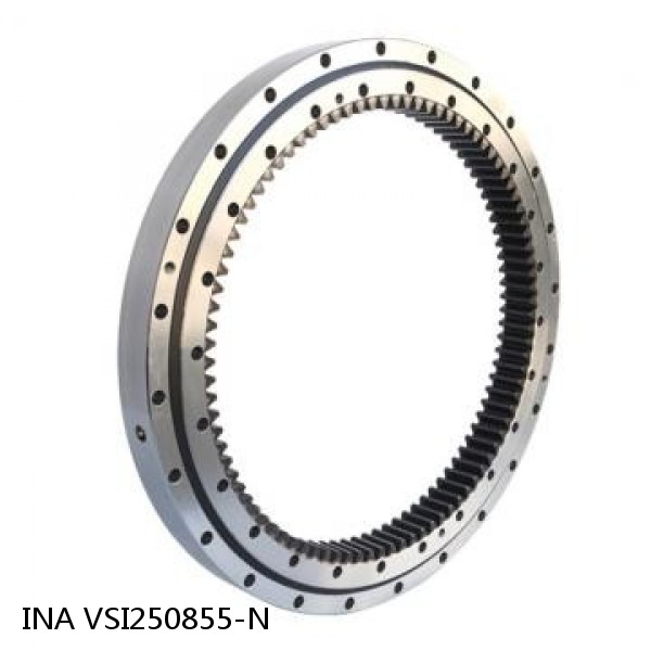 VSI250855-N INA Slewing Ring Bearings