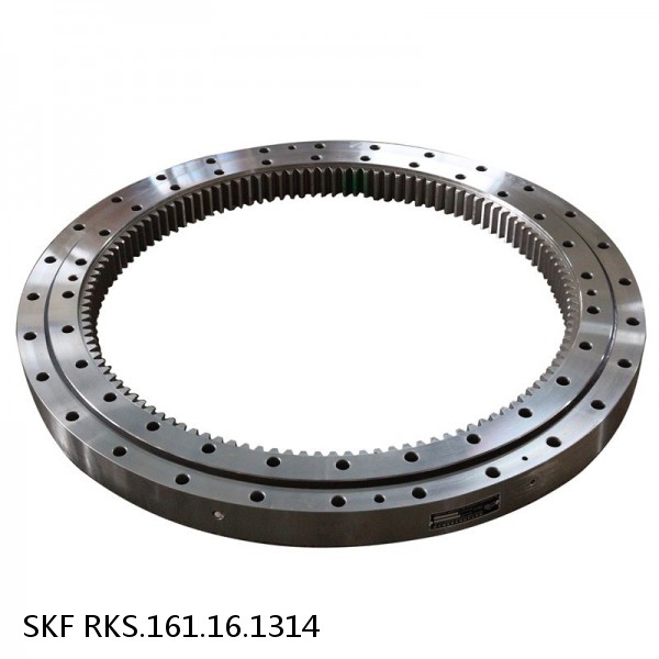 RKS.161.16.1314 SKF Slewing Ring Bearings
