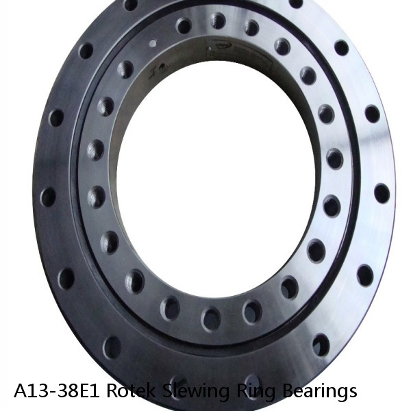A13-38E1 Rotek Slewing Ring Bearings