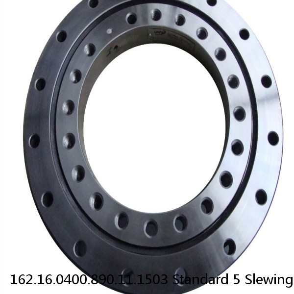 162.16.0400.890.11.1503 Standard 5 Slewing Ring Bearings