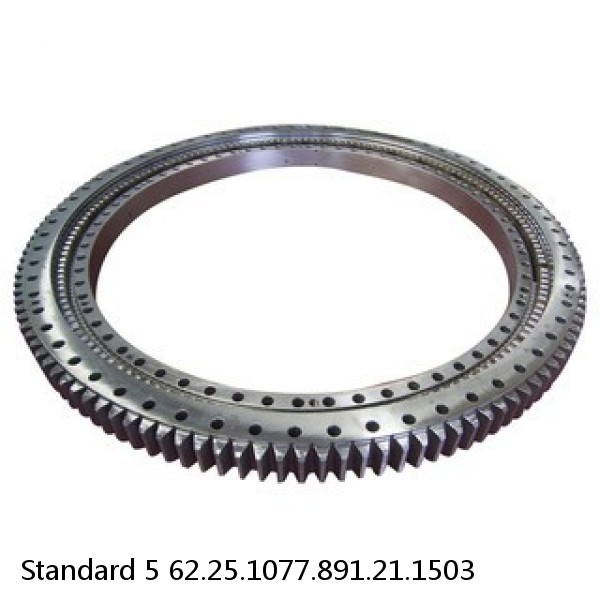 62.25.1077.891.21.1503 Standard 5 Slewing Ring Bearings