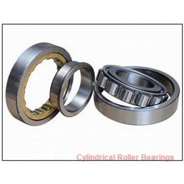 0.984 Inch | 25 Millimeter x 2.441 Inch | 62 Millimeter x 0.669 Inch | 17 Millimeter  CONSOLIDATED BEARING N-305  Cylindrical Roller Bearings