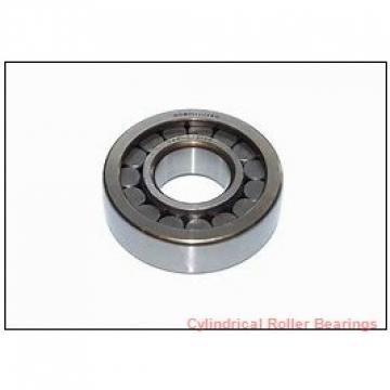 3.15 Inch | 80 Millimeter x 6.693 Inch | 170 Millimeter x 1.535 Inch | 39 Millimeter  CONSOLIDATED BEARING N-316E M C/3  Cylindrical Roller Bearings