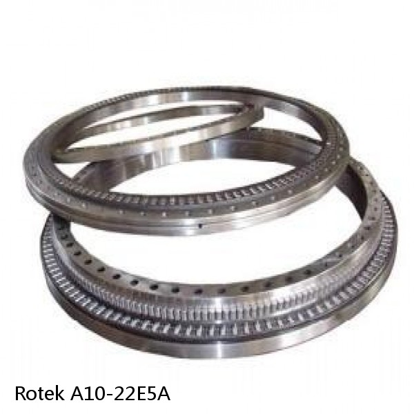 A10-22E5A Rotek Slewing Ring Bearings