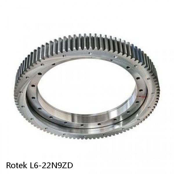 L6-22N9ZD Rotek Slewing Ring Bearings