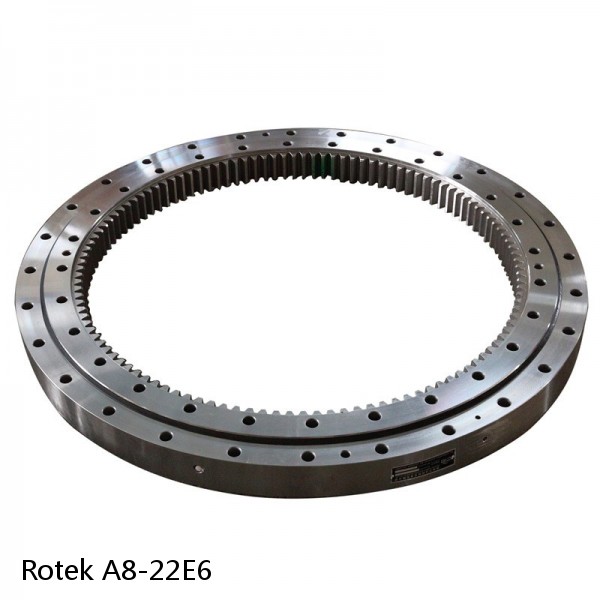 A8-22E6 Rotek Slewing Ring Bearings