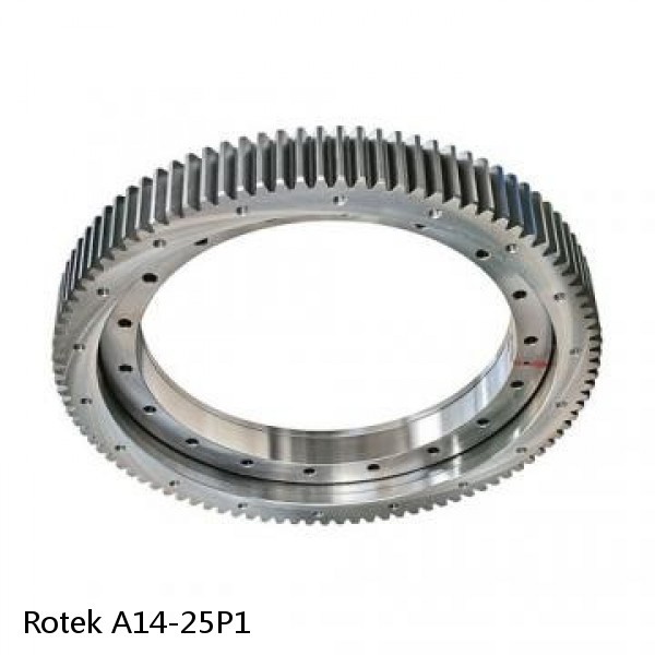 A14-25P1 Rotek Slewing Ring Bearings