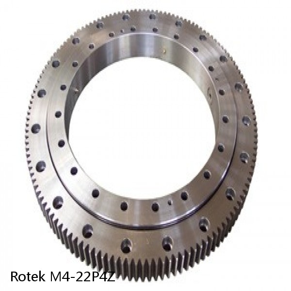 M4-22P4Z Rotek Slewing Ring Bearings