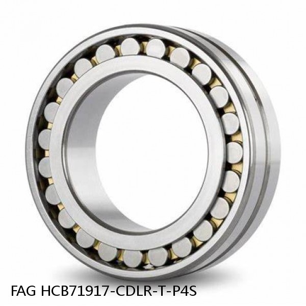HCB71917-CDLR-T-P4S FAG high precision bearings